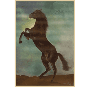 Animal (Black Horse) Oil Painting Handmade Horse Wall Art